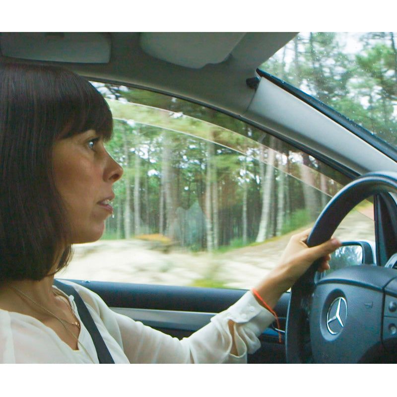 DGA, Vindafvisere, Røgfarvet, 2 stk., passer til Mitsubishi L300 (1987-1998)