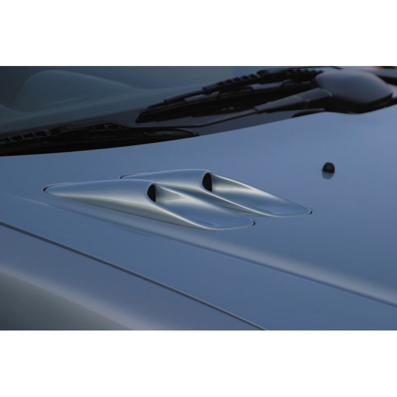 RGM, Motorhauben-Lufteinlässe, passt für Peugeot 206 (ersetzt die originalen Lufteinlässe)